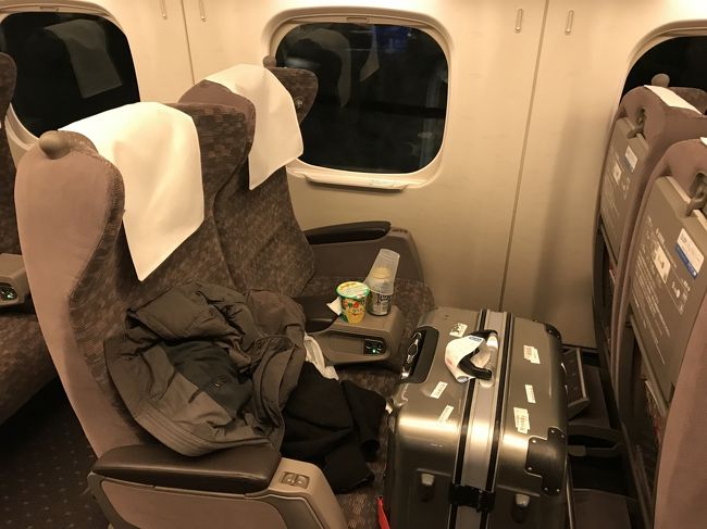 ウイーンへの旅 復路ウイーンからドバイ経由で成田へ エミレーツビジネスクラスとドバイのラウンジ ドバイ アラブ首長国連邦 の旅行記 ブログ By スミレ博士さん フォートラベル