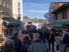 駅から参道を歩き新勝寺を目指します。　すごい人、　帰り川豊の横を通ったら4時間待ち・・・