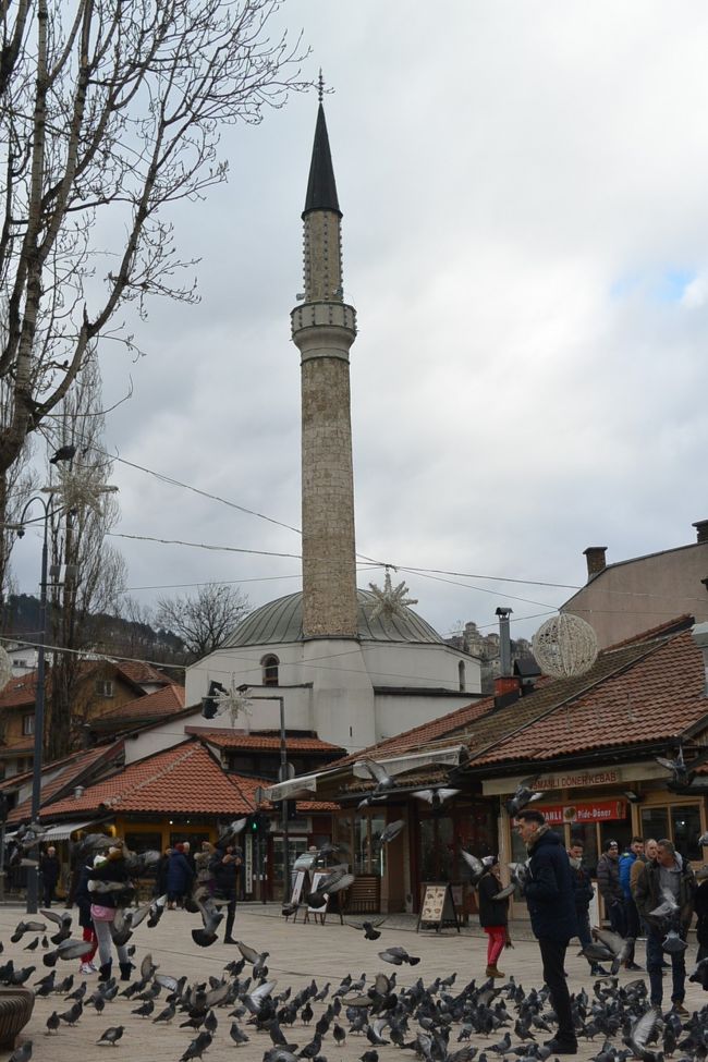 バシチャルシヤ広場<br /><br />冬でもハトでいっぱいです。特にアラブの国からの観光客が、ハトのエサやりを楽しんでいます。