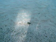 オンザビーチのホテルなので、タモンビーチに5分もかからず降りていけます。
海の透明さ！
石に隠れるカニも見えます