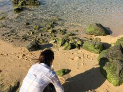 とりあえず行ってみる

期待せず星砂の浜に行って見ると、竹富島よりも意外と沢山あって
びっくり。
