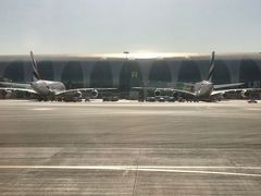 定刻ドバイ空港第２ターミナル(ＬＣＣ専用？）到着。

A380が２機、大きいと駐機スペース場所くいますね・・アハ！
