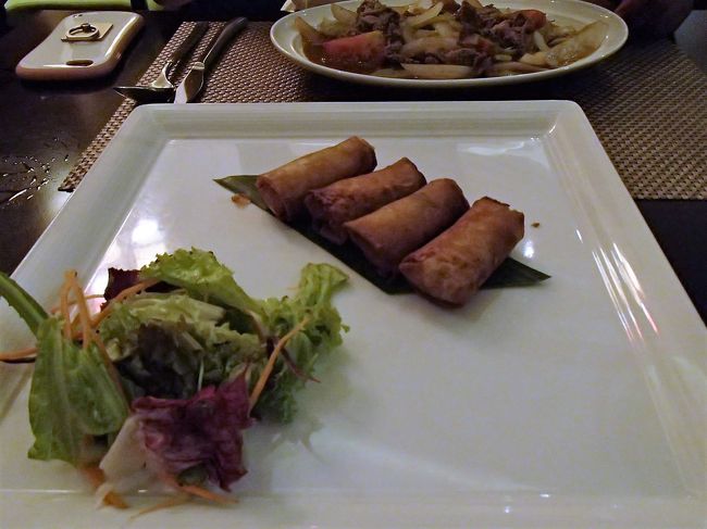 揚げ春巻き<br /><br />他にも、母とパパでビールなどを飲んだりしてダナン最後の夜を満喫。