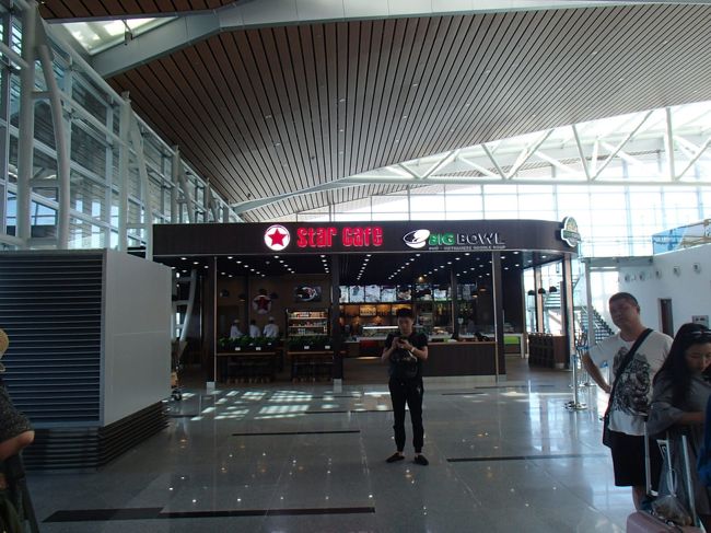 ダナン空港に15分ほどで到着。