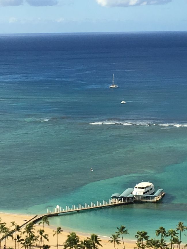 ３３階オーシャンビューの眺めはコレですよ、コレ‼️<br />タロさん一家からすると、お金と引き換えに手に入る景色って感じですかね～😅