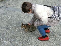 猫を見ると、なでらずにいられない母です。