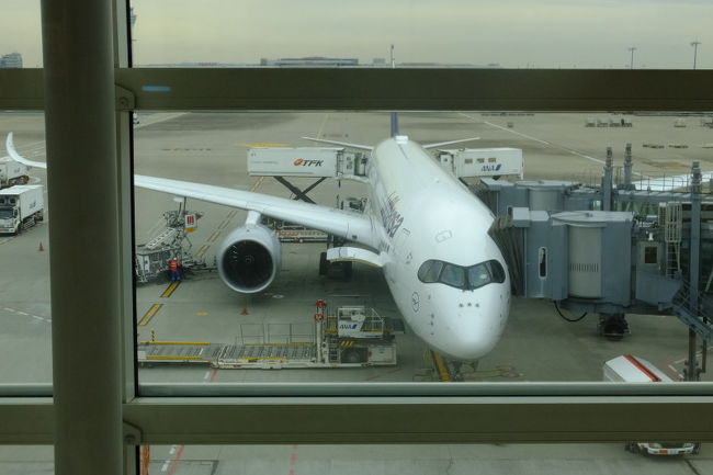 羽田発１２：４５ルフトハンザ７１５便で、まずはドイツ・ミュンヘンに向かい、そこからフランクフルトへ飛び、