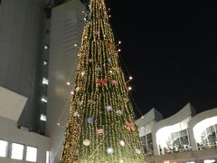 広場中央には大きなクリスマスツリーが！