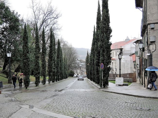 ブラガンサ侯爵館を背に糸杉（？）並木の<br />坂道が続いています。<br />