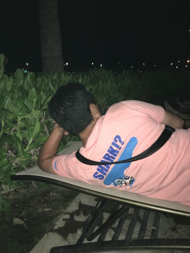 出待ちのタロさんパパ。<br /><br />パラダイスプールのベッドです。