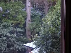 温泉の神様の熊野神社。