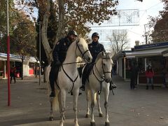レティーロ公園にいた騎馬警官。
