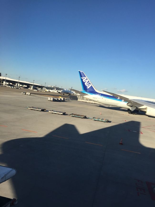 成田空港着陸<br />のんびり何もしない冬の沖縄…ハマりそうです