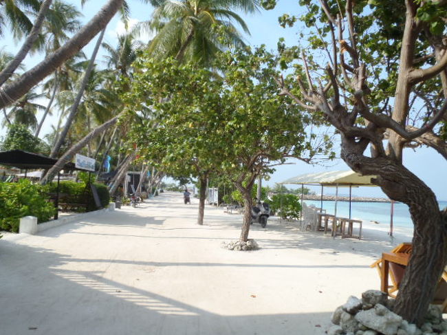 ご覧の様にゴミを見かけない。実は住民の皆さんが早朝から、<br />毎朝大量の落ち葉などを清掃しているからなのです。<br />モルディブの人達は綺麗好きなもかも？<br />