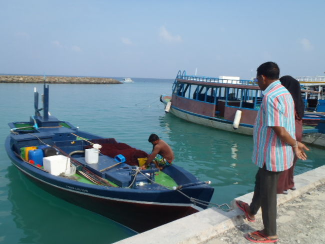 陸からお客さんの指示で大小に切り分けていた。<br />捕れたて新鮮で美味しいだろうな～<br />醤油を持って来ていればカツオの刺身が食べられたかも？<br />モルディブのローカルアイランドを旅する時は、醤油持参をお勧めします。