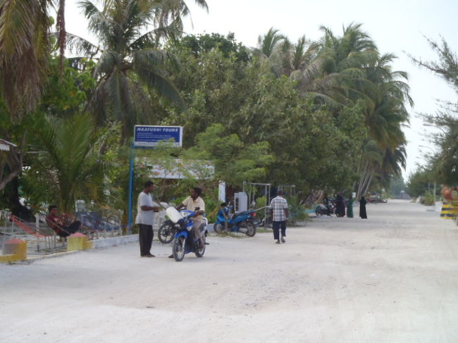 涼しげな木陰は朝の住民たちの社交の場所なのか？