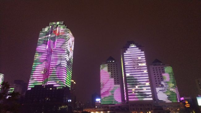 広州のナイトクルージングです。<br />写真ではわかりませんが絵が連動していてとても綺麗でした。