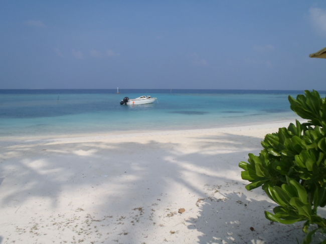 快晴で今日も海の色が綺麗だ・・・<br />真っ白な砂浜には椰子の木の影が映えている。