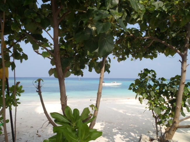 朝食後・Maafushi島の散策に出掛けてみる事にして、<br />ホテル前のビーチ辺りからスタート。