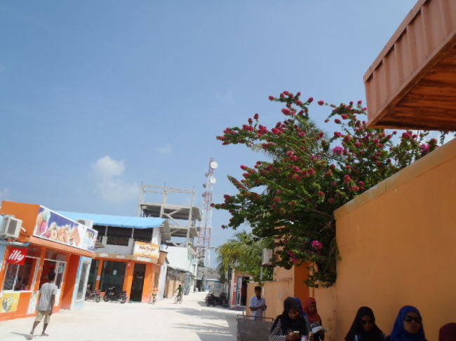 カラフルな家に色鮮やかな花が咲いていたので<br />近づいて見ると・・・