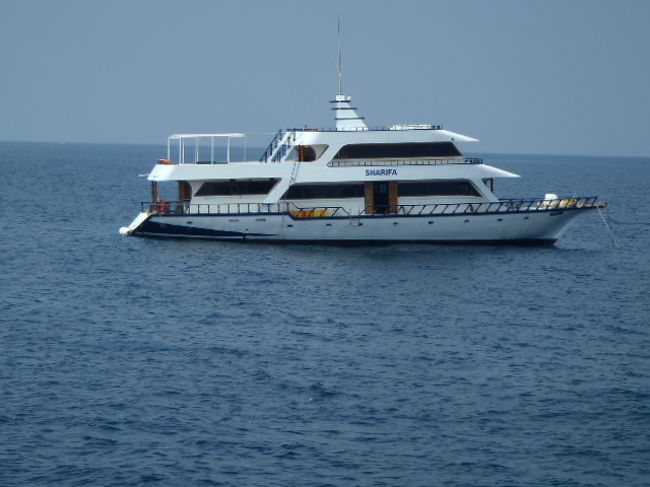 すぐさま、2本目をオーダーして隣のサファリボートを眺めながら、<br />飲んでいて少し冷静になると、タイガービールって、<br />前回までのベトナム旅行中は確か、US$１で飲んでいたよな～<br />此処でのBeer価格US$６だって・・・超・高～~い！<br />仕方ないか？？？？<br />因みにボートでの送迎は無料です。（既に全ての料金に上乗せ？）<br />