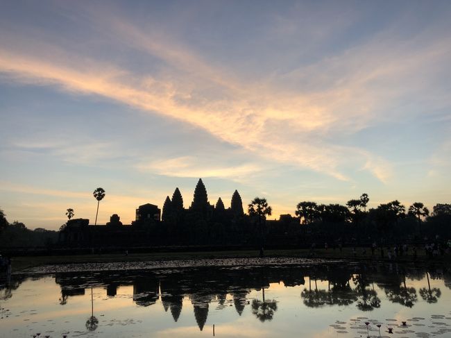 最終日は定番の朝焼けのアンコールワットです。<br />綺麗で感動しました。