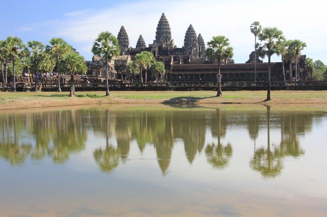タプロームの後は再度アンコールワットに訪れました。<br />朝見た景色とはまた違って綺麗です。