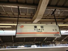 東京駅には約20分ほど遅れて到着しました。