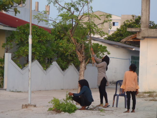 高いところの新芽らしき物を切り落としていた。<br />何に使うのか尋ねてみたら料理に使うとの話だった。<br />オニオンと一緒に炒めるとか？話していたのだが・・・