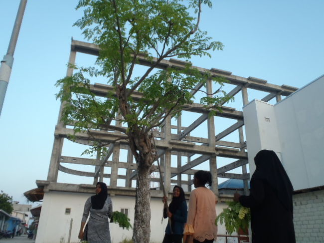 朝日を眺めた後、帰り途中に親子で小さな木の葉を摂っている場面に遭遇・・・<br />