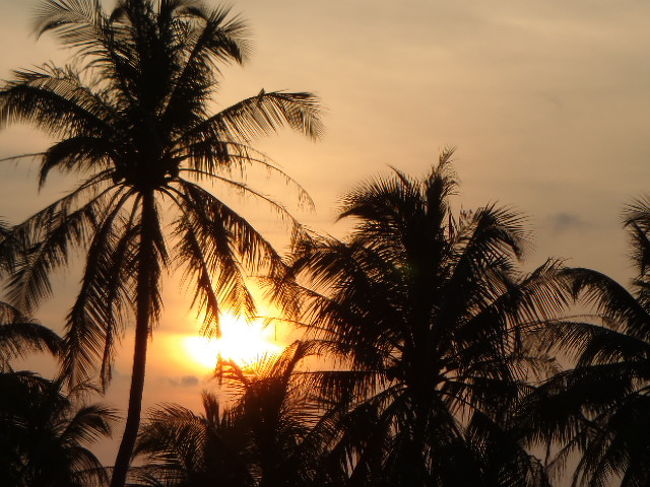 部屋の前のテラスから撮影していたのですが・・・