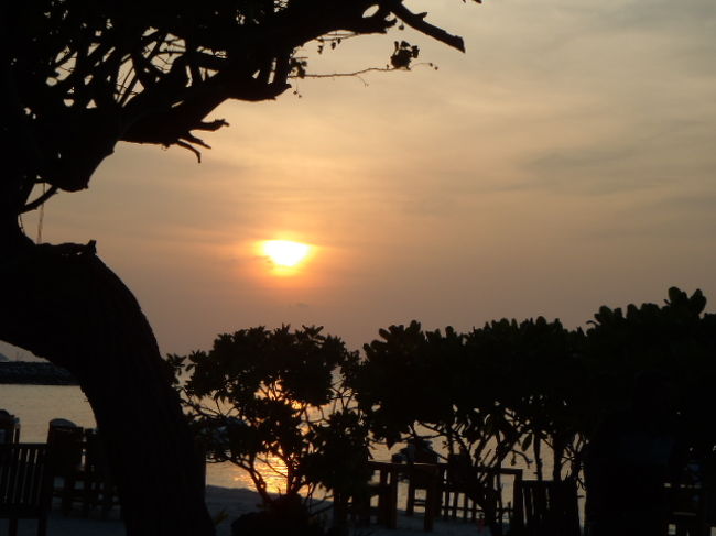 結局はビーチ沿いへ移動・・・