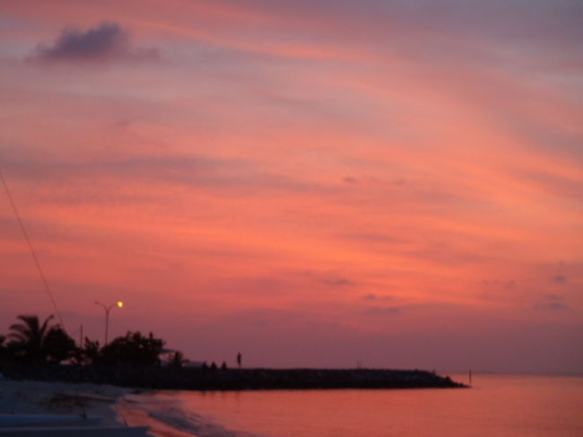 少しづつ変化して行く空模様が楽しみです。