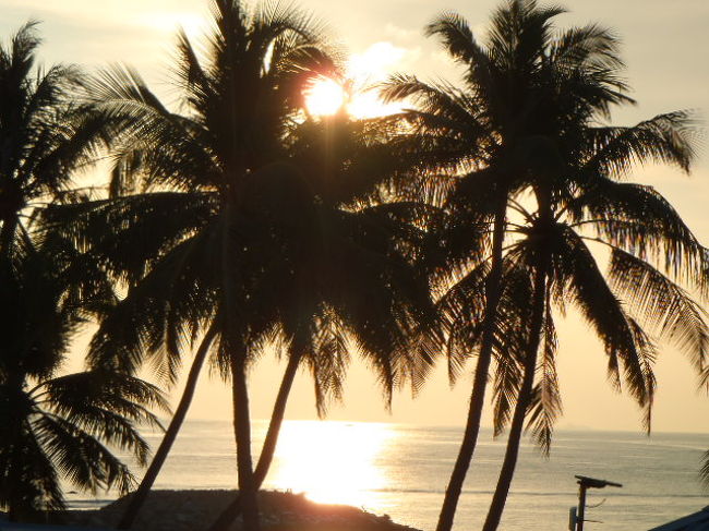 昨日に続いて部屋の前のテラスから撮り始めて・・・