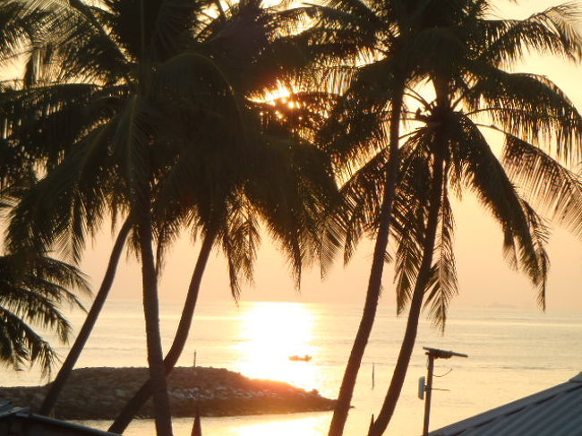 海面からの反射光が強くなつて来たので・・・