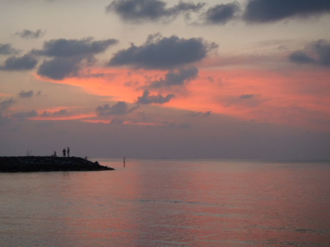 景色模様を見せてくれました。