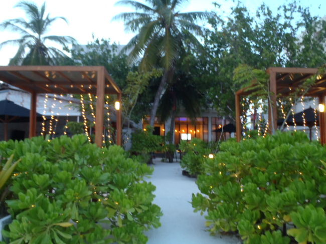 綺麗なサンセットショーが見られたので、<br />気分良くして、Maafushi島散策時に見つけていた・・・