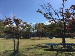 食後の運動とムスメちゃんの為に、矢ケ崎公園へやってきました。
