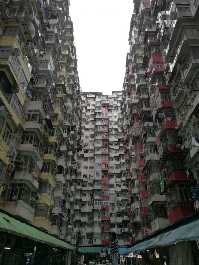 香港 マカオ女一人旅day2 女と ラビリンス 聖地巡礼 香港 香港 の旅行記 ブログ By 九月さん フォートラベル 香港 マカオ女一人旅day2 女と ラビリンス 聖地巡礼 香港 香港 の旅行記 ブログ By 九月さん フォートラベル