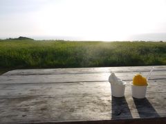 ダイビングの後は、ジェラートを食べにミルミル本舗へ。
外の雰囲気もとってもよくて、ジェラートも美味しかった！