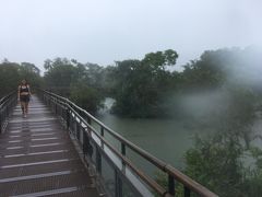 雨は止みませんが、ポンチョ着て突入します。
