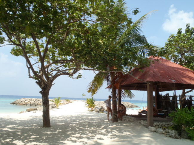 此の場所を境に・・・