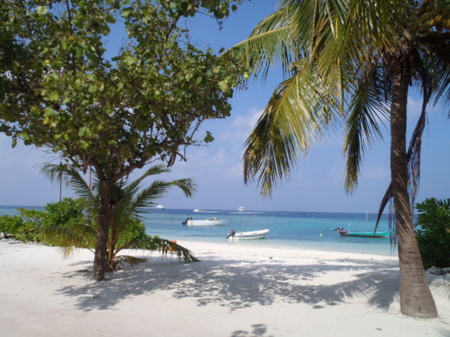 今日も快晴で波も静かにゆっくりと・・・