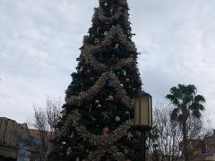 まずは、最初は2年4か月ぶりにディズニーカルフォルニアアドベンチャーへ。
1月ですが、まだクリスマスツリーが飾られてます。