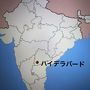 インド・ハイデラバード・タイ航空・往路ビジネスクラス・復路・ファーストクラスでのちょっと残念な旅！