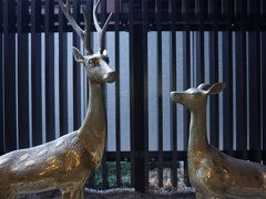 エレベーター横で鹿のお迎え