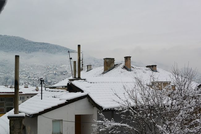 前日に降り出した雪で、あっという間に真っ白になっていました。