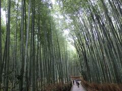 嵐山といえば竹林の道です。
まっすぐ伸びた竹が清々しい。

