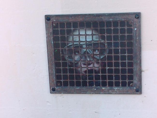 これもリアルに描けてます。