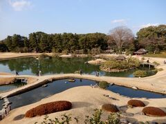 芝生も木々も冬の間は休息状態だね